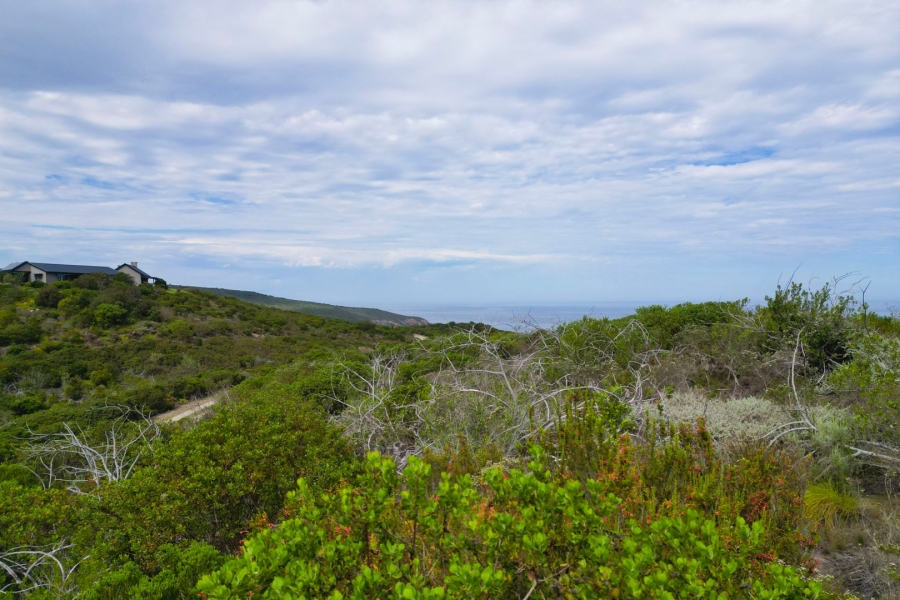 Commercial Property for Sale in Pezula Private Estate Western Cape